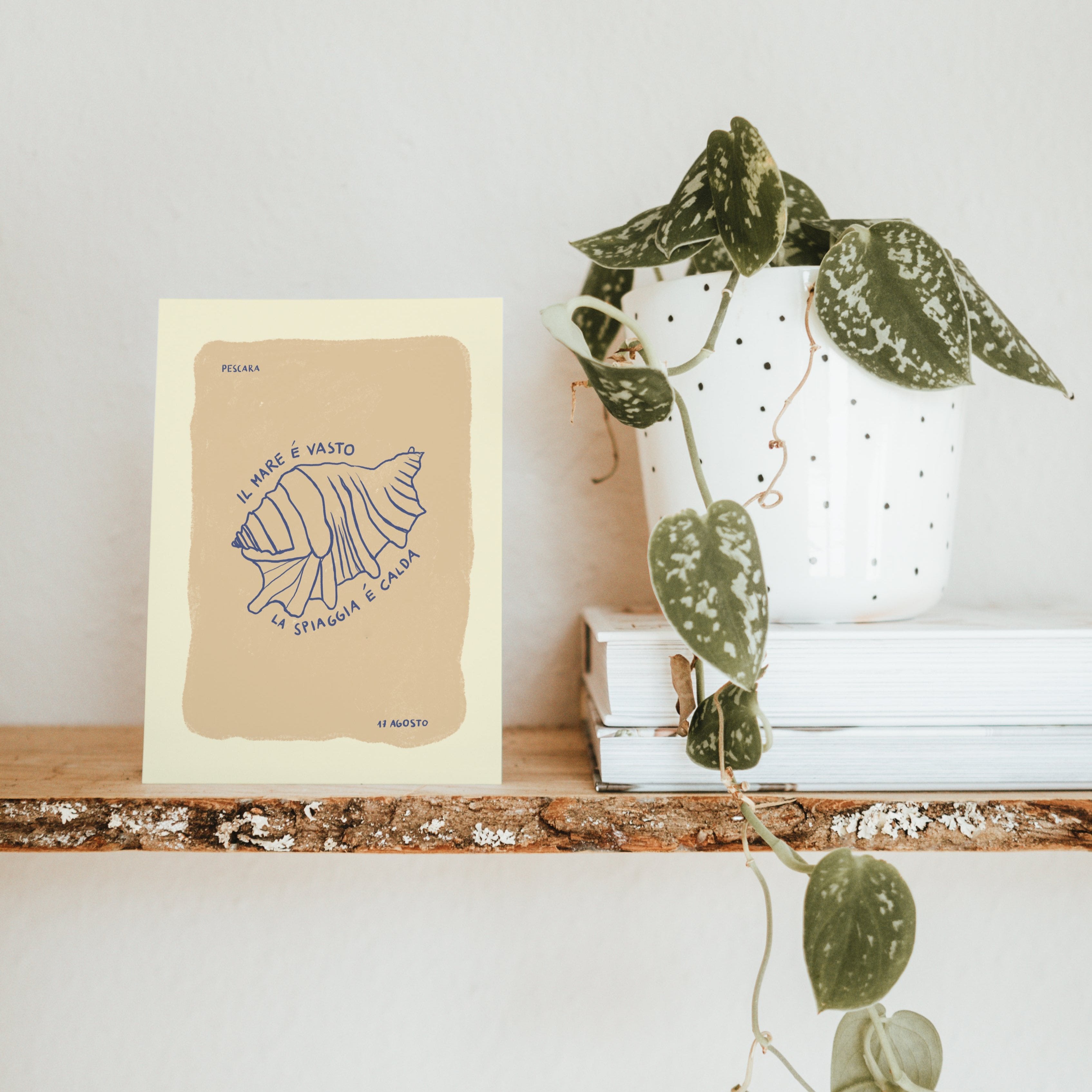 POSTKARTE MUSCHEL